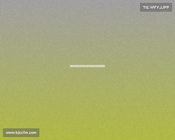 西甲转会窗口闭幕各大球队补强情况分析与新赛季展望