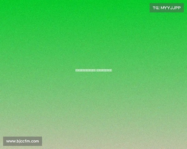 梅州客家攻守失衡防守需改进 成绩提升依赖团队协作